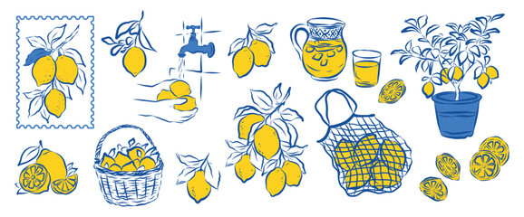 Amalfi Italian lemon fruit summer vacation doodle style whimsical Hand drawn sketch coastal lemons line art Positano, Sicily, La Dolce vita vacations Vintage citrus plant leaves mediterranean design © EvgeniiasArt