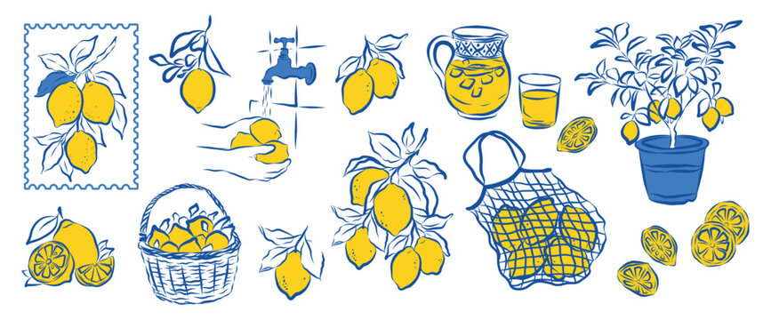 Amalfi Italian lemon fruit summer vacation doodle style whimsical Hand drawn sketch coastal lemons line art Positano, Sicily, La Dolce vita vacations Vintage citrus plant leaves mediterranean design