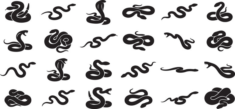Snake silhouette vector collection featuring coiled, slithering, striking and cobra snake poses isolated on white background