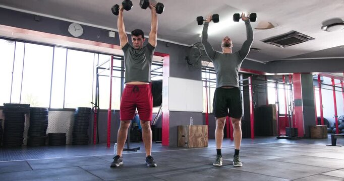 Diverse male workout partners lifting black dumbbells in upright row then pressing overhead