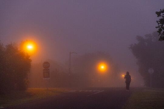 pre dawn fog settling on road illuminated by street lights