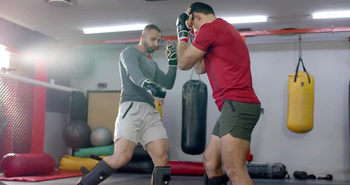 Diverse mma sparring partners entering gym, sizing up, feinting in gloves and shin guards