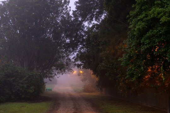 pre dawn fog settling on road illuminated by street lights