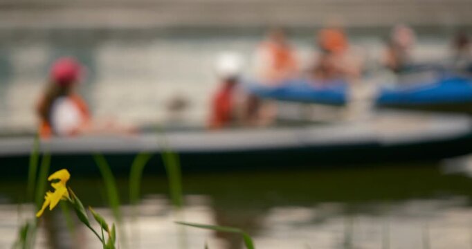 cinematic detail of a wild flower. Blue boat and water in soft focus. Ideal for travel, tourism, and relaxation content. vacation, nature and human activity.  concept of summer holidays, eco-tourism