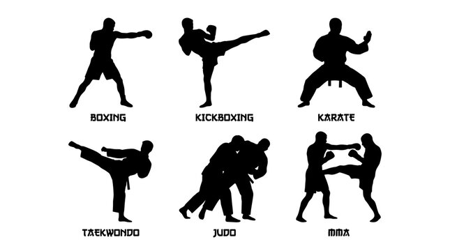 Silhouettes of various martial arts and combat sports including boxing kickboxing karate taekwondo judo and MMA