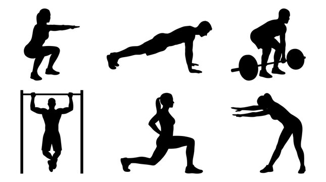 Fitness workout silhouettes of people doing exercises like squats push ups deadlifts pull ups lunges and stretching