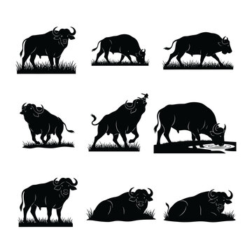 Wild Buffalo Silhouette Collection Diverse Poses