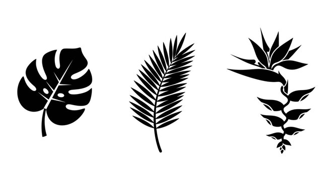 Tropical Leaves Silhouette - Monstera, Palm, Bird of Paradise Flower