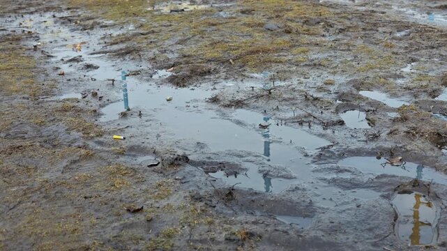 A detailed view of a discarded cigarette butt resting on wet muddy ground beside shallow puddles reflecting blue structures. Concept of environmental pollution, littering, and human impact.