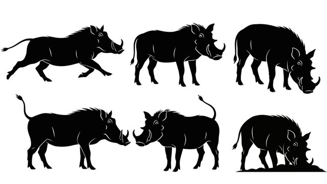 Warthog Silhouette Collection: Running, Grazing, Standing Poses