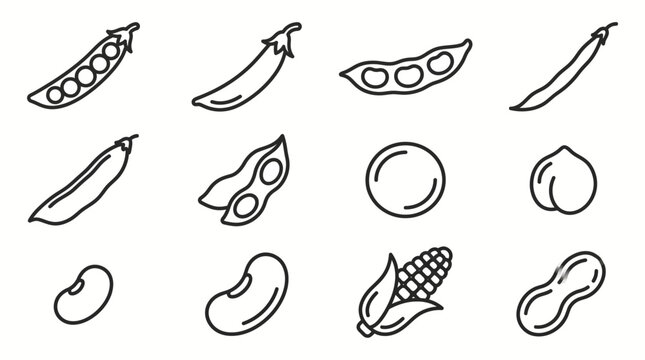 Collection of hand drawn legume and vegetable line icons.