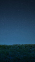 Fototapeta premium A clear dark blue night sky filled with countless stars shining brightly over a dark, grassy field