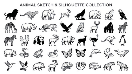 Fototapeta premium Animal Sketch and Silhouette Collection: Diverse Wildlife Illustrations