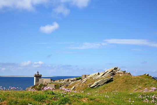 Der Kermorvan-Leuchtturm inmitten einer bl&uuml;henden K&uuml;stenlandschaft. Rosa Blumen und schroffe Felsen pr&auml;gen den Vordergrund vor dem blauen Atlantik unter sommerlichem Himmel.