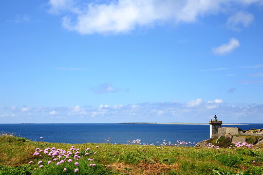 Der Kermorvan-Leuchtturm inmitten einer bl&uuml;henden K&uuml;stenlandschaft. Rosa Blumen und schroffe Felsen pr&auml;gen den Vordergrund vor dem blauen Atlantik unter sommerlichem Himmel.