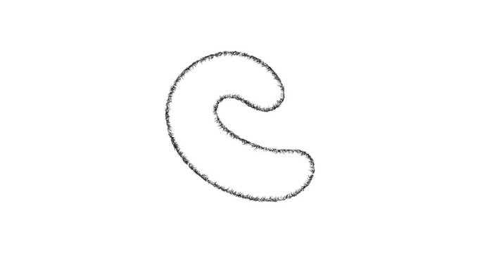 Sketch pregnancy pillow icon animation - smooth progressive reveal