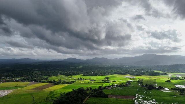 A cinematic drone shot pans left over the rice granary of Palawan, revealing illuminated rice fields glowing with golden highlights beneath a cloud-filtered sky