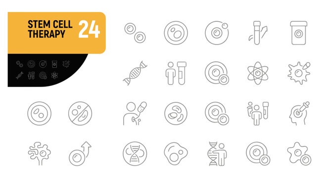 Vector illustration of stem cell therapy process showing medical research icons, cells, and scientific symbols in a clean, educational design.