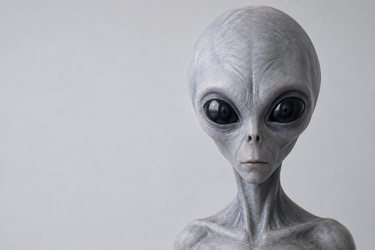 Mysterious gray alien portrait with large black eyes and pale background for science fiction extraterrestrial concept

