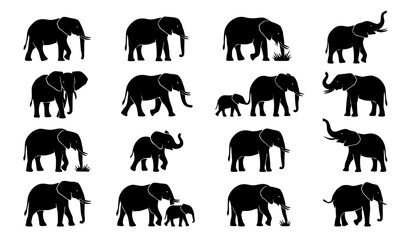 Black elephant silhouette collection of African wildlife animals in walking, standing, and grazing safari poses vector set © Emdadul