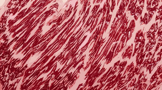 Raw beef meat texture with white fat marbling pattern, macro close up of red steak for food background