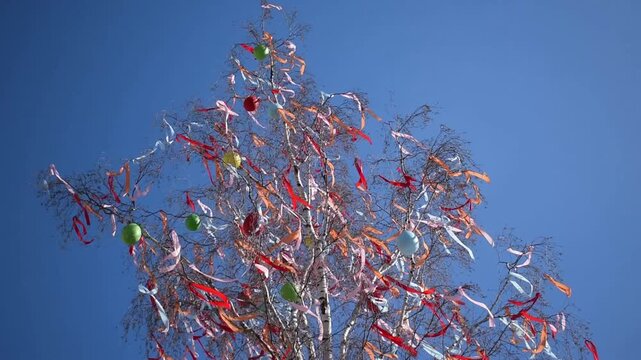Easter theme, the arrival of spring, decorated birch tree with colorful ribbons and colored eggs, young flexible tree in the wind