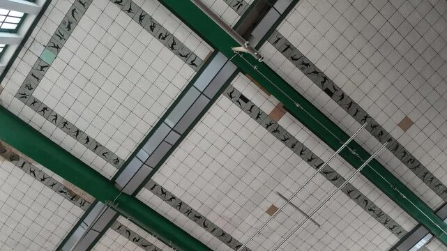 The old Clube Ferroviaro gymnasium ceiling, Maputo Province, Maputo, Mozambique