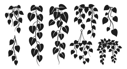 Fototapeta premium Hanging Vines Silhouette Collection - Greenery Plant Branches Vector Graphics