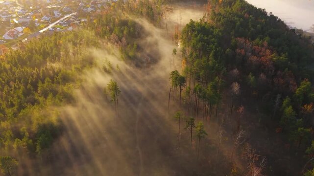 Cinematic Aerial Shot of Spectacular Golden God Rays ver Misty Autumn Forest
