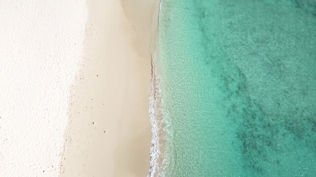 Top down aerial drone perspective of an empty white sandbank splitting shallow turquoise coastal ocean waters at Carlisle Bay beach in Bridgetown, tropical resort, Barbados