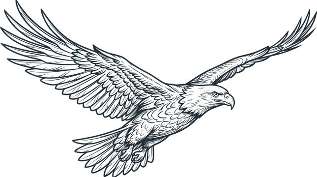 Powerful bald eagle soaring with wings spread wide