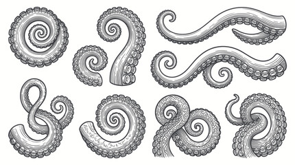 Set of curved octopus tentacles with suction cups © Buku