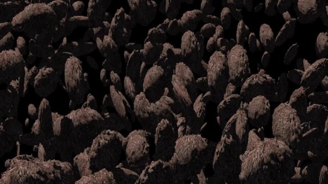 The Kuiper Belt. 3d animation