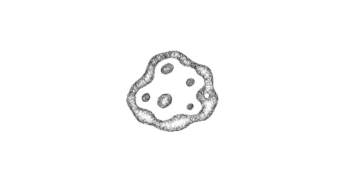 Sketch asteroid icon animation - smooth progressive reveal