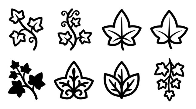 Collection of Simple Black Ivy Leaf Icons and Botanical Silhouette Graphics