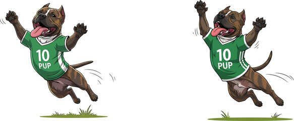 Fototapeta premium Two brown pitbull dogs wearing green sports jerseys jumping on grass