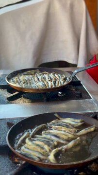A commercial video of fresh European anchovies (hamsi) frying in a hot pan. The small fish are tightly and neatly arranged in a traditional circular pattern, cooking to a golden crisp