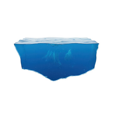 Cross Section of Ocean Water with Underwater View