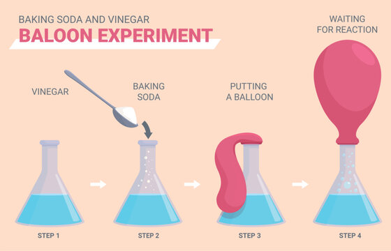 Balloon filling chemical experiment. Using vinegar and baking soda for fill balloon. Children science chemistry project for lesson, sapid vector instruction