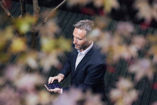 Business Professional Using Phone Surrounded by Nature