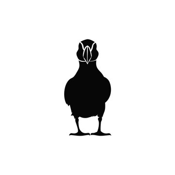 Black puffin, bird silhouette, animal icon, wildlife illustration, vector graphic