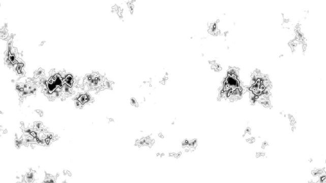 Black and white abstract organic shapes with outlines. Fluid wave pattern for minimalist professional backdrop presentation. Abstract fluid wave animation for design.