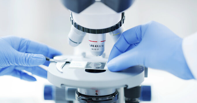 Hands, woman and microscope slides for research, test or biology analysis in laboratory. Equipment, micro glass and person with medical science, chemistry or biotech tools for innovation and gloves