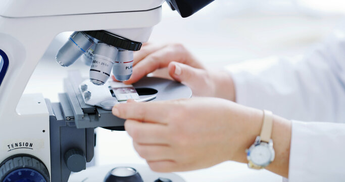 Hands, woman and microscope slides for science, test or biology analysis in laboratory box. Equipment, micro glass and person with medical research, chemistry or biotechnology tools for innovation