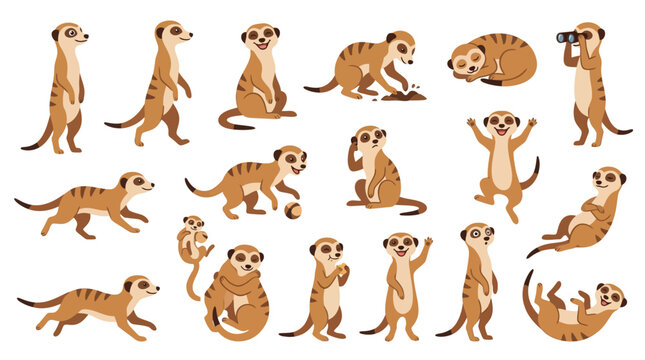 Collection of cute meerkats in various poses and activities, isolated on a white background.