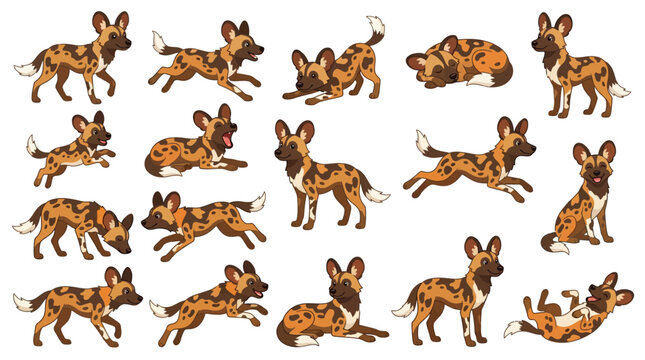 Collection of African Wild Dogs in Various Poses and Actions.