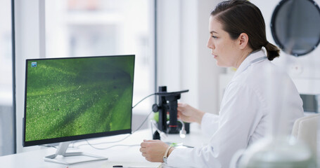 Obraz premium Woman, scientist or computer with plant study in lab for botany investigation, exam or microbiology. Female person, botanist or biologist with microscope, biotechnology or screen for vegetation test