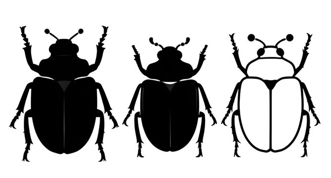 blackbeetle, beetlesilhouette, beetleillustration, beetle, insect, bug, silhouette, black, arthropod, wildlife, nature, entomology, crawling, insecticon, vector, illustration, isolated