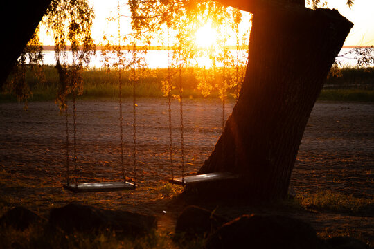 Two wooden swings hanging from a tree silhouetted against a vibrant sunset over a grassy field near a body of water in a tranquil outdoor setting
