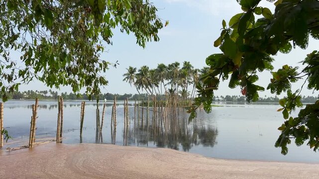 Tropical coconut trees on a small island surrounded by calm waters in the Kerala backwaters, showcasing the serene beauty of South India&rsquo;s coastal landscape
